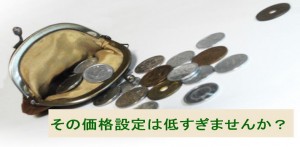その価格設定は低すぎませんか？