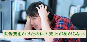 広告費をかけたのに！売上があがらない