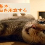 値下げをしないで売上アップ!集客の基本:目玉商品を用意する