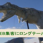 ブログ集客が強いロングテールの秘密